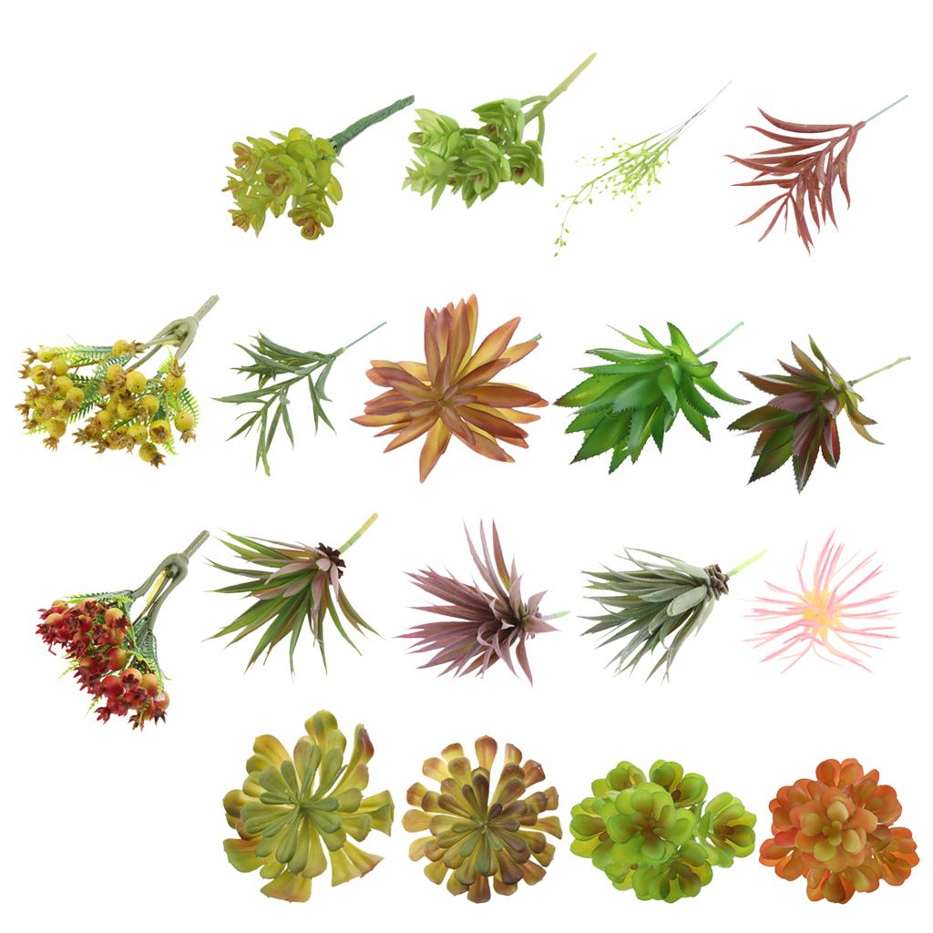 نباتات عصارية اصطناعية من البل - مراجعة Echeveria Succulent وسعره