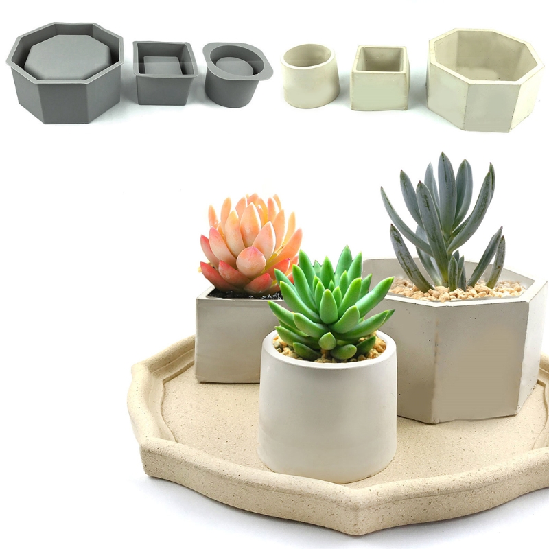 أصيص زارع عصاري يدوي الصنع ، ق - مراجعة Echeveria Succulent وسعره
