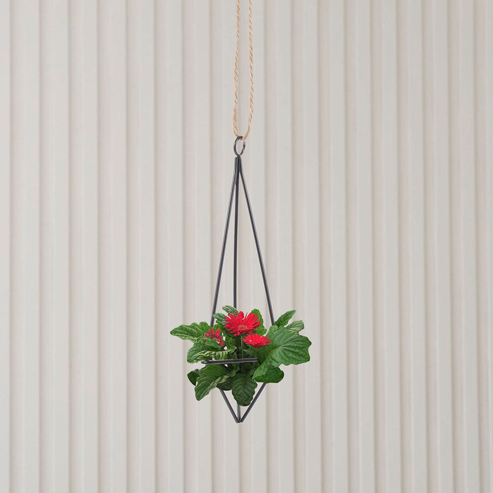 قطعتان من حامل النباتات الهوائ - مراجعة Spider Plant Hanging وسعره