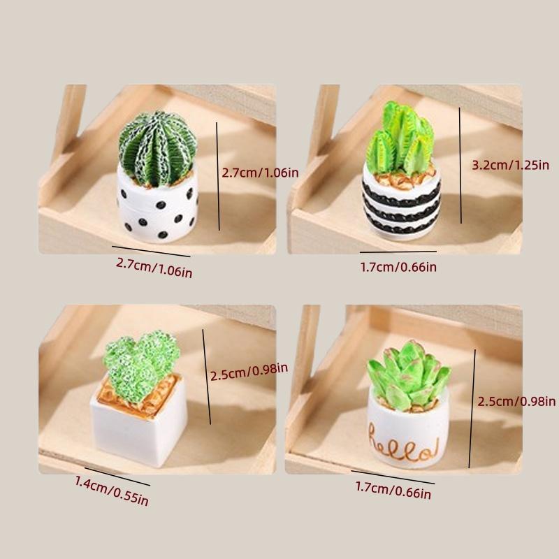 مجموعة من 4 قطع من نباتات الصب - مراجعة Echeveria Succulent وسعره