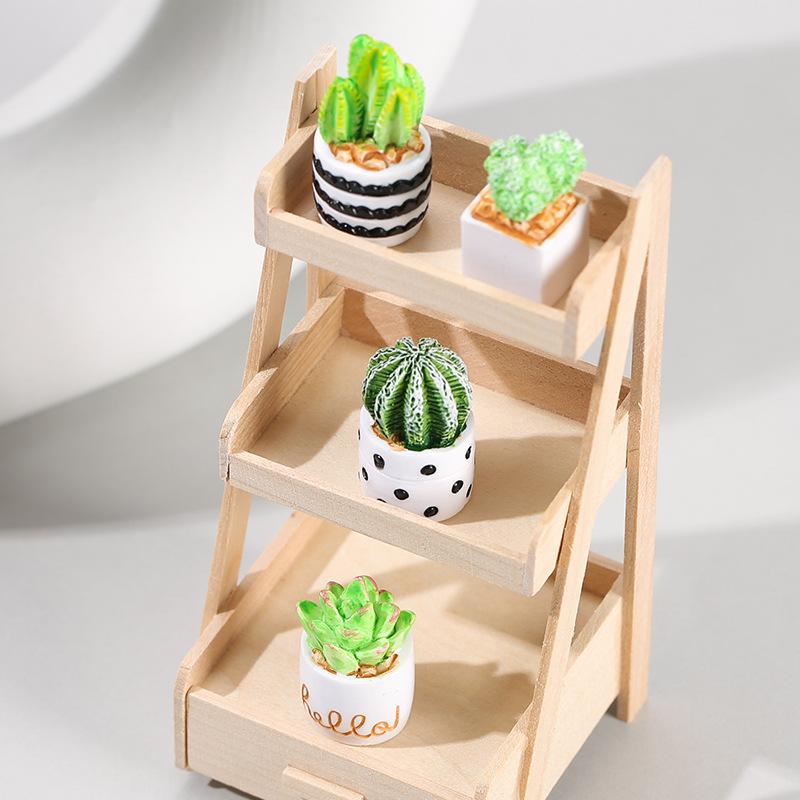 مجموعة من 4 قطع من نباتات الصب - مراجعة Echeveria Succulent وسعره